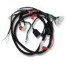 ARNES PRINCIPAL (D150 2022 A 2024