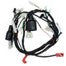 ARNES PRINCIPAL (RC150 2016 A 2024)